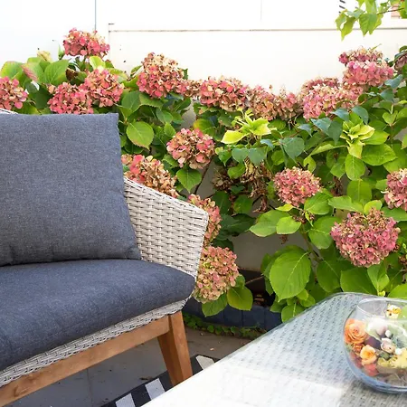 55 & 54 Stairs Dubrovnik